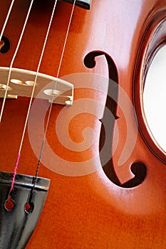 Musicale dispositivi violino dettagliato 