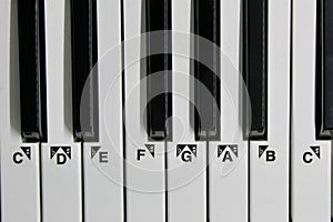 Musical Keyboard Keys Octave photo