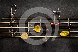 Musical notes conception. Wooden musical notes and leaves.