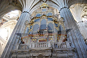 Musical organ cathedral Salamanca