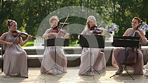 Musical quartet. Three violinists and cellist playing music. Long shot.