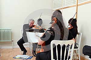 Musical string trio at a wedding.