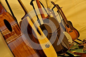 Musical Stringed Instruments