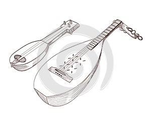 musical stringed instruments