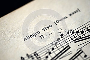 Musical tempo `Allegro vivo` in a music notebook photo