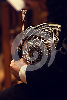 Musician holding a french horn