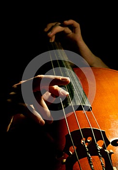 Musician playing contrabass