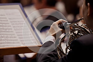 Musician playing the French horn