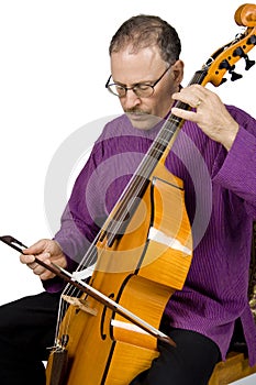 Musician playing an Instrument photo