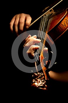 Musician playing violin photo