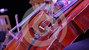 The musician plays the cello.Close-up movement of the bow on the strings.Symphony orchestra.