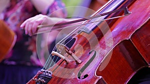 The musician plays the cello.Close-up movement of the bow on the strings.Symphony orchestra.