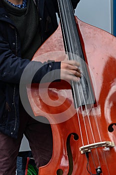 Musician`s hand vibrating the strings