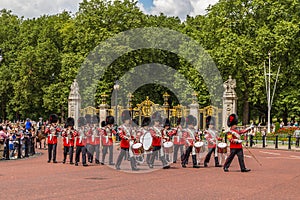 Musicians at the Changing of the Guard Performance at Buckingham