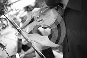 Musicians group playing wedding music