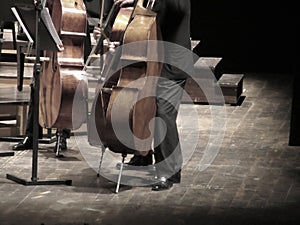 Musicians playing Cello music instruments on stage in concert hall