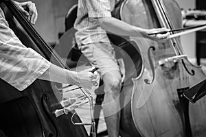 Musicians playing the double bass