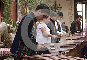 Musicians playing marimba
