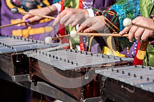 Musicians playing the xylophone at carnival