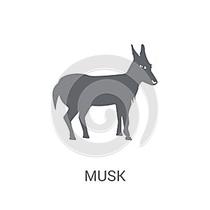 Musk icon. Trendy Musk logo concept on white background from animals collection