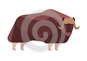 Musk-ox flat vector illustration. Norway wildlife representative. Powerful Ovibos moschatus isolated on white background