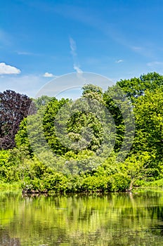 Muskau Park in the Upper Lusatia