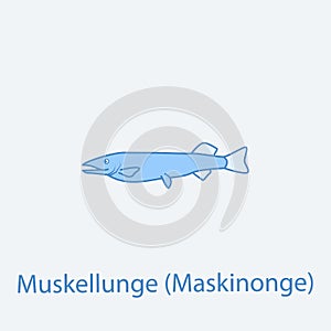 muskellunge 2 colored line icon. Simple light and dark blue element illustration. muskellunge concept outline symbol design from f photo
