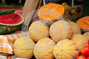 Muskmelon photo