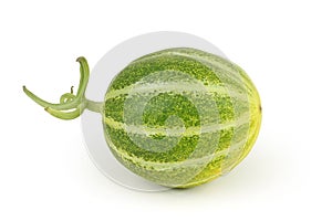 Muskmelon