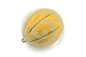 Muskmelon