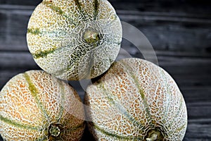 Muskmelon, Cucumis melo or melon, a species of Cucumis that has been developed into many cultivated varieties. The fruit is a pepo