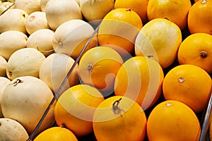 Muskmelon fruit photo