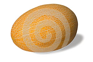 Muskmelon on white