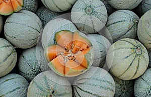 Muskmelons