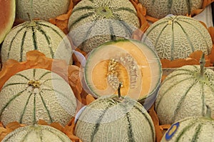 Muskmelons