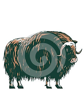 Muskox Musk Ox Musk-Ox or Musk Oxen Native to the Arctic Side View WPA Poster Art