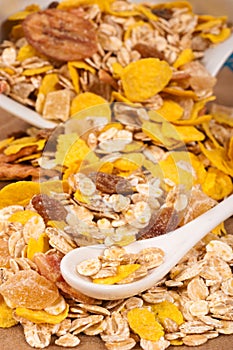 Musle in the white spoon