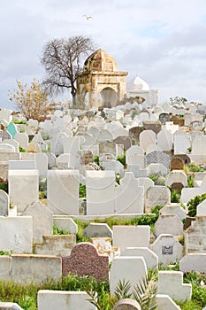 Muslim cemetery. Fes, Morocco