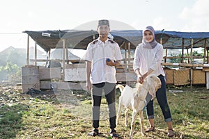 Muslim couple buy a goat for eid adha sacrifice or idul qurban