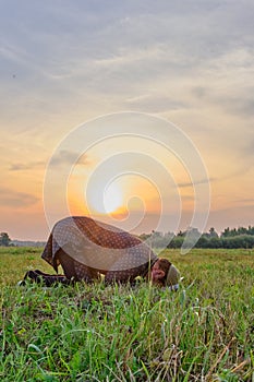 A Muslim senior man wearing a skullcap and traditional clothes prays at sunset