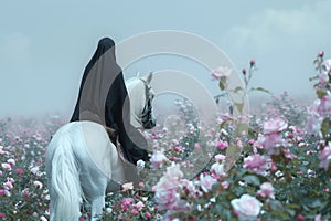 A muslim woman, wearing a black nikab, rides a white horse through a field of pink flowers