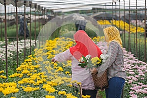 Muslim worker girls garden flower