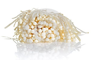 Musroom isolated on white background