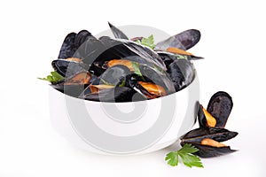 Mussel