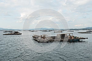 Mussel aquaculture rafts, batea, in Arousa estuary