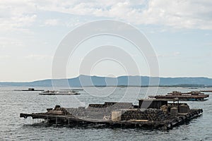 Mussel aquaculture rafts, batea, in Arousa estuary