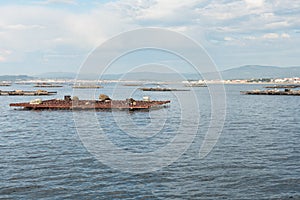 Mussel aquaculture rafts, batea, in Arousa estuary