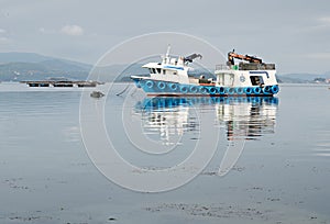 Mussel boat and mussel bed in sea. Mussel aquaculture. Marine landscape
