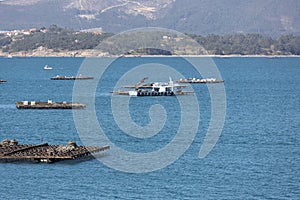 Mussel boat sailing between mussel wood platform called batea. Marine landscape