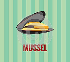 Mussel - drawing on green background. photo